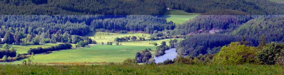 Wildlife and Ecology
