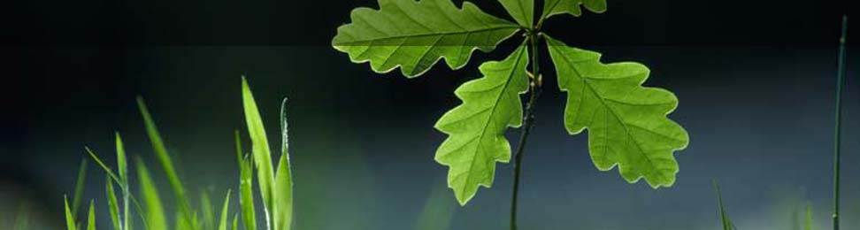 Wildlife and Ecology