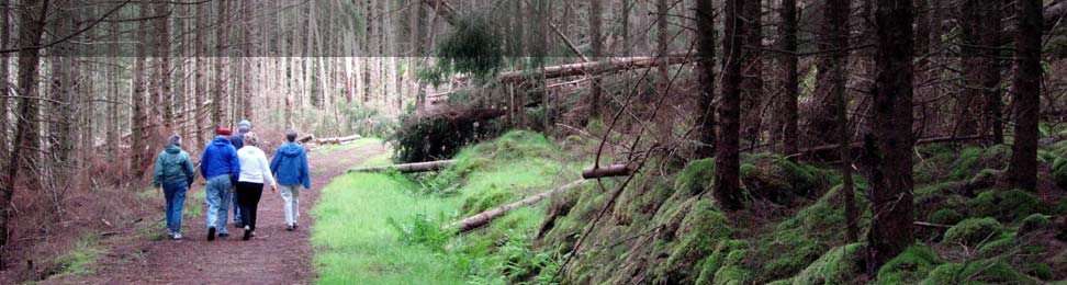 News about Aigas Forest and events in the surrounding area